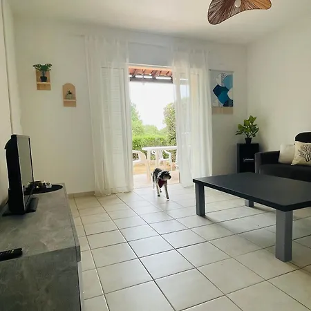 Fiori Di Luna * Porto Vecchio