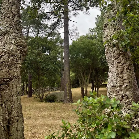 Fiori Di Luna Villa Porto Vecchio