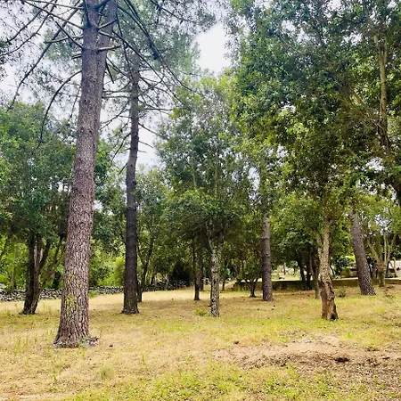 Fiori Di Luna * Porto Vecchio