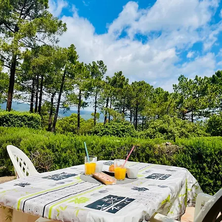 Fiori Di Luna Villa Porto Vecchio