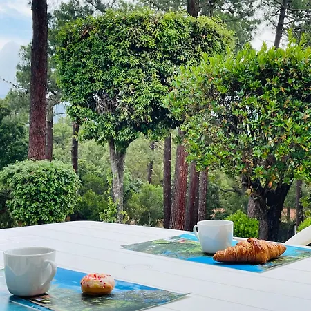 Villa Fiori Di Luna Porto-Vecchio (Corsica)