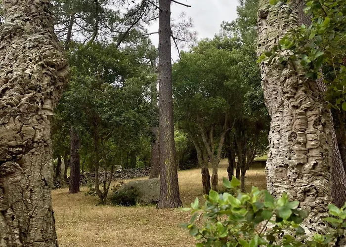 Fiori Di Luna Villa Porto-Vecchio (Corsica)
