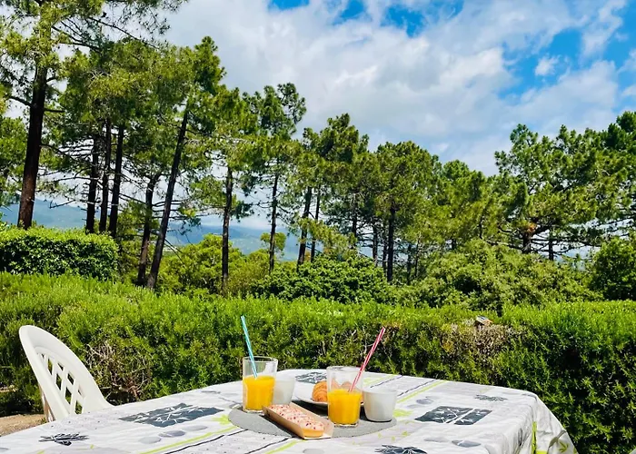 Fiori Di Luna Villa Porto-Vecchio (Corsica)