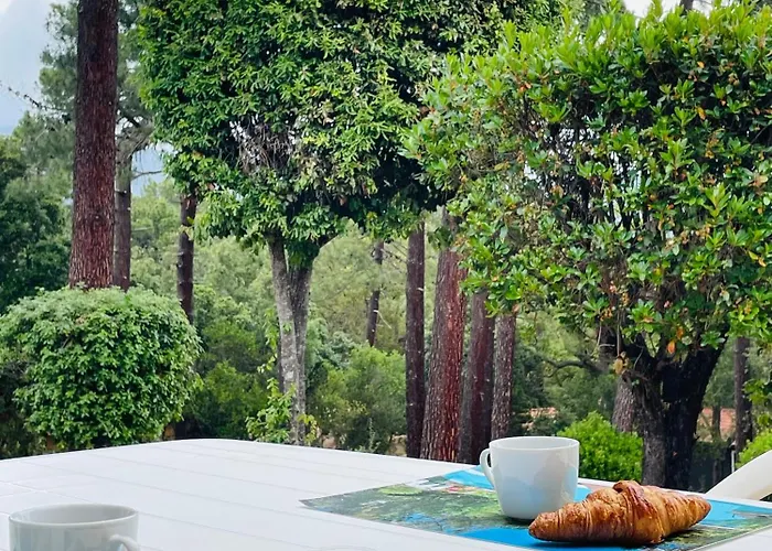 Villa Fiori Di Luna Porto-Vecchio